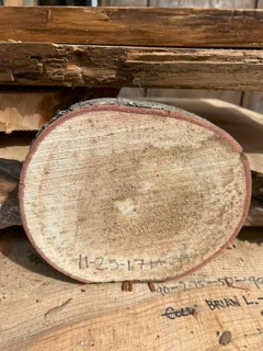 Spalted Maple
